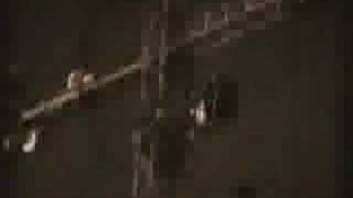 16mm hand-processed experimental film