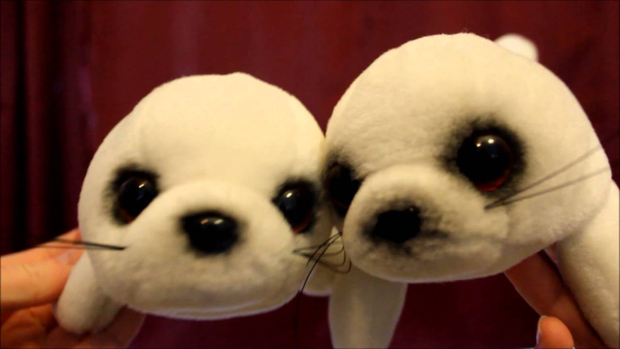 Seal Gymnastics YouTube