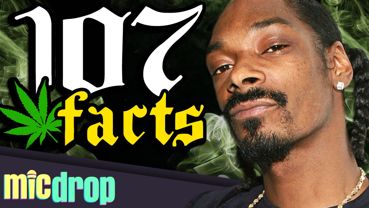 107 Snoop Dogg Music Facts YOU Should Know (Ep #4) - MicDrop