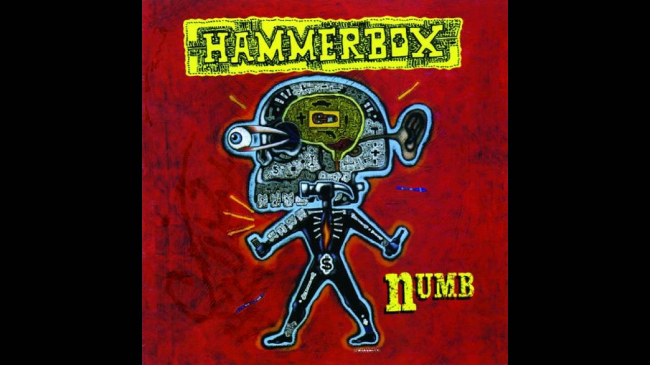 hammerbox trip