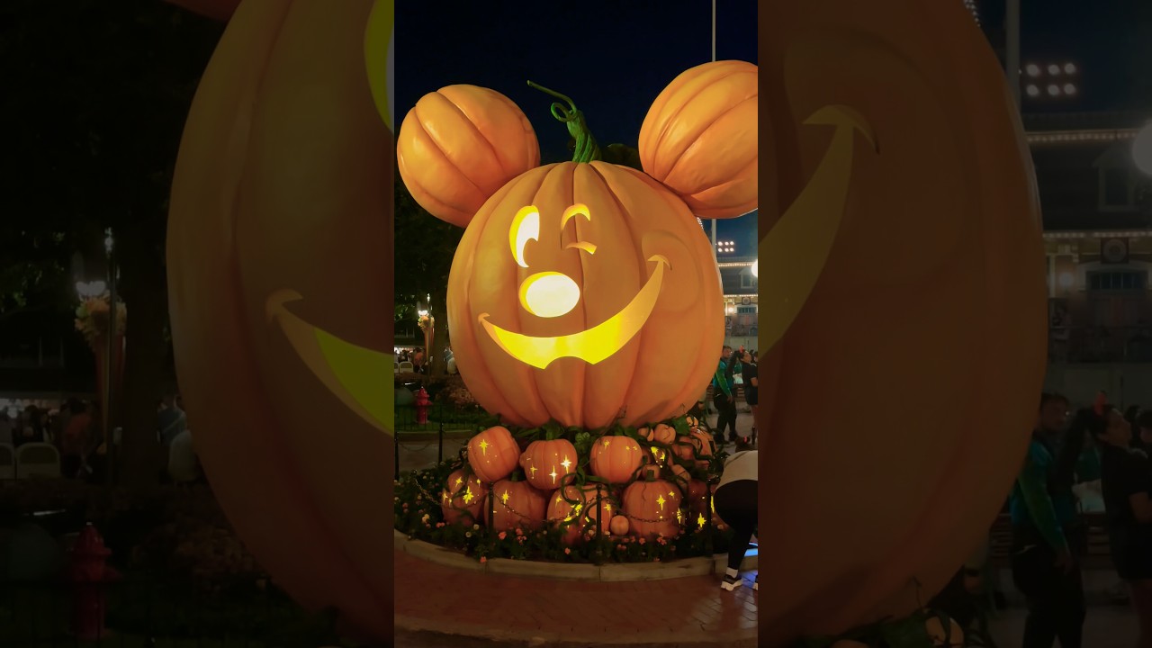 Halloween pumpkin Display 2024 At Disneyland Park 😀😀