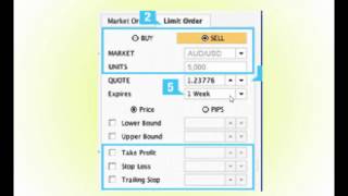 Celebrity Why Binary Options Are a Scam Net Worth