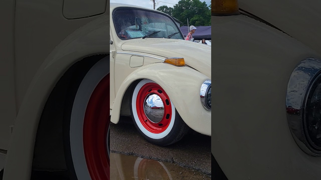 CIRCLE YER WAGENS VW SHOW 