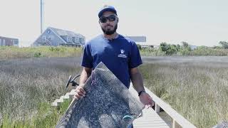Day with Ray: What it takes to maintain an Oyster Lease