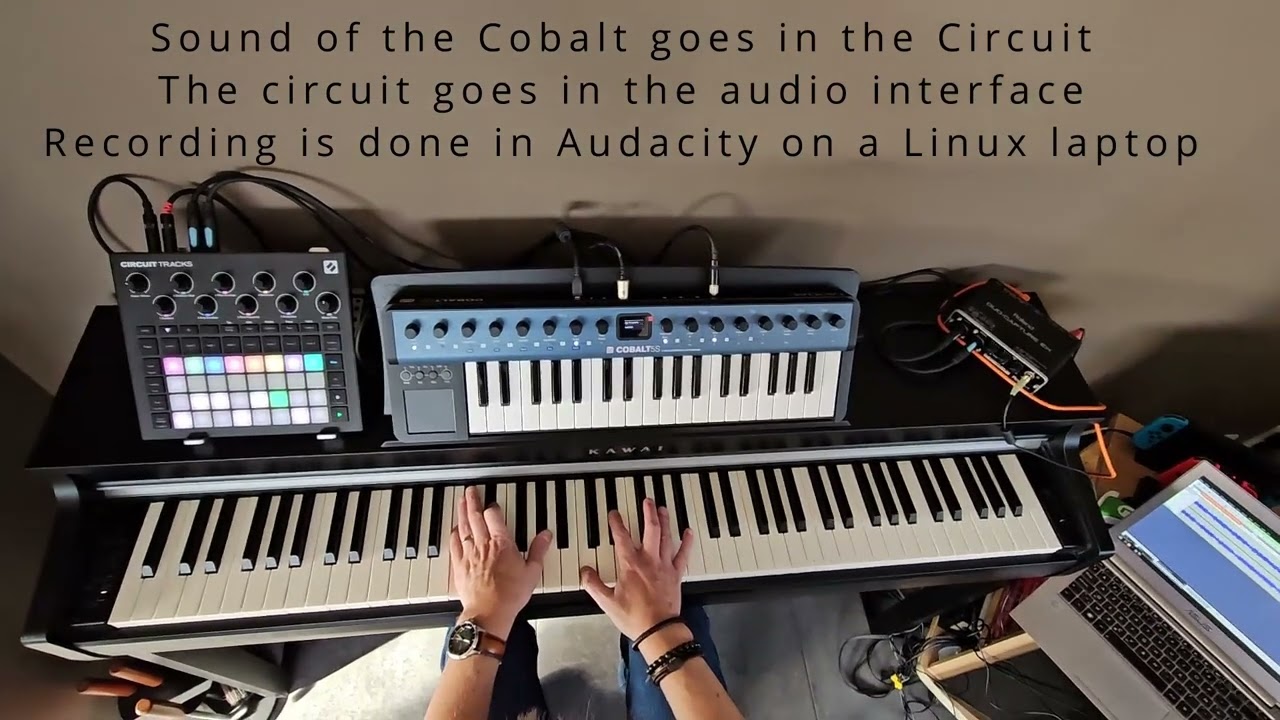 Modal Cobalt 5s + Novation Circuit Tracks