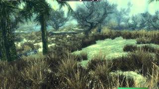 Swamp Pond Massacre - Hjaalmarch Secondary  Location Guide - Elder Scrolls 5 Skyrim