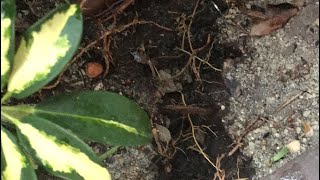 My condo complex sprinkler systems are broke and causing sinkholes lives