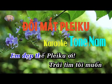 Video ĐÔI MẮT PLEIKU || Karaoke Tone Nam .. Em đẹp thế... - youtube