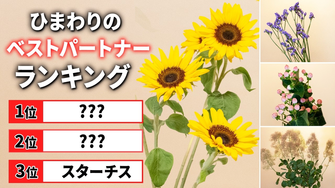 Ikebana] Determining the Perfect Flower Pairing for Sunflowers