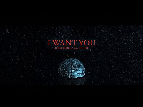 Boris Brejcha Ft. Ginger - I Want You