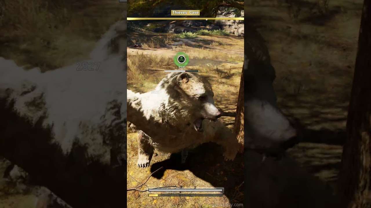 Thieves' Cave Bear Assassin's Creed Odyssey  