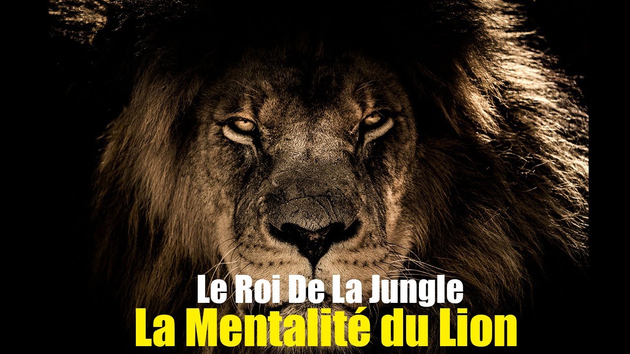 La Mentalité Du Lion - Le Roi De La Jungle - Myles Munroe - Voix Fr