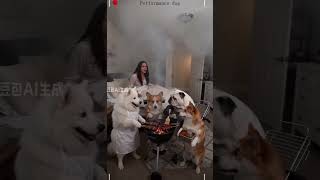 Wrestle in goofy funny styles #FunnyPets#AnimalHumor#ChaoticPets#CuteClips#shorts#funnycats#cutepets