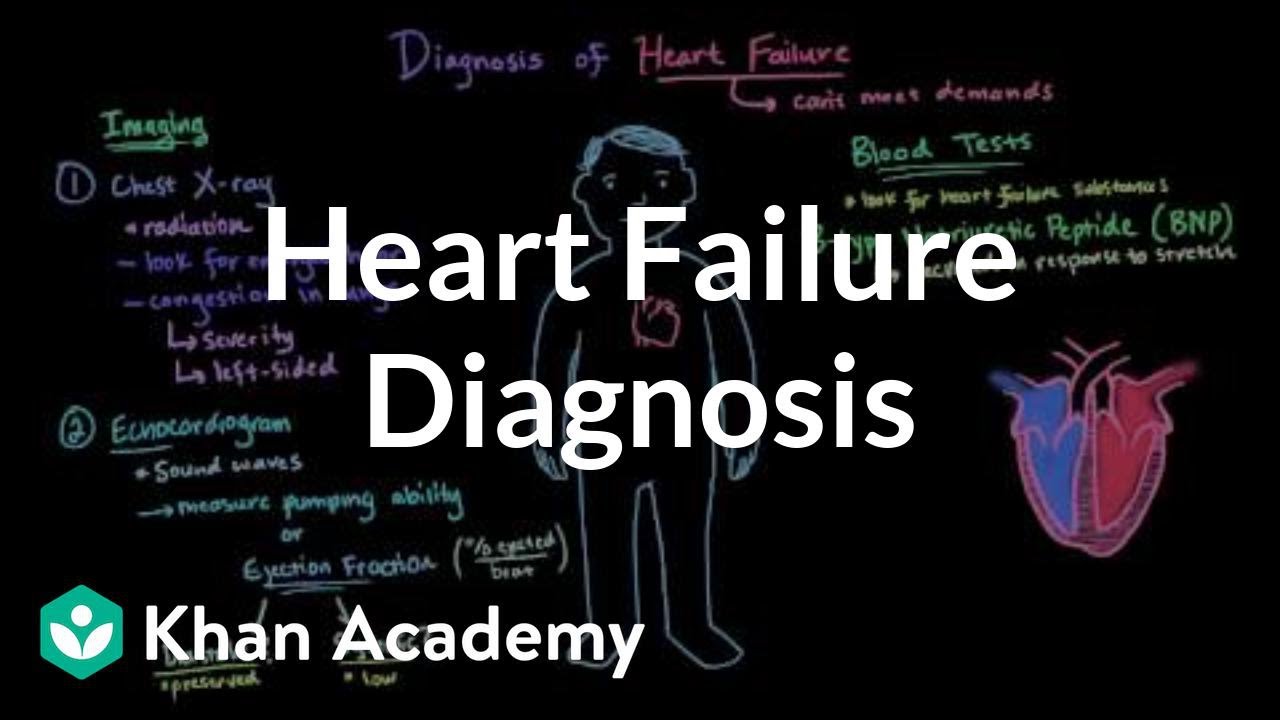 Heart failure diagnosis Circulatory System and Disease NCLEXRN
