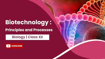 Principes en processen | Biotechnologie en haar principes | Biologie | Klas 12