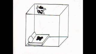 Liars - Tumbling walls burried me in the debris with ESG