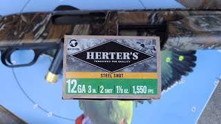Herter's Waterfowl 3" 1-1/8oz Steel #2 Pattern Test W/ Mossberg 835 Ulti-Mag & Stock Modified Choke