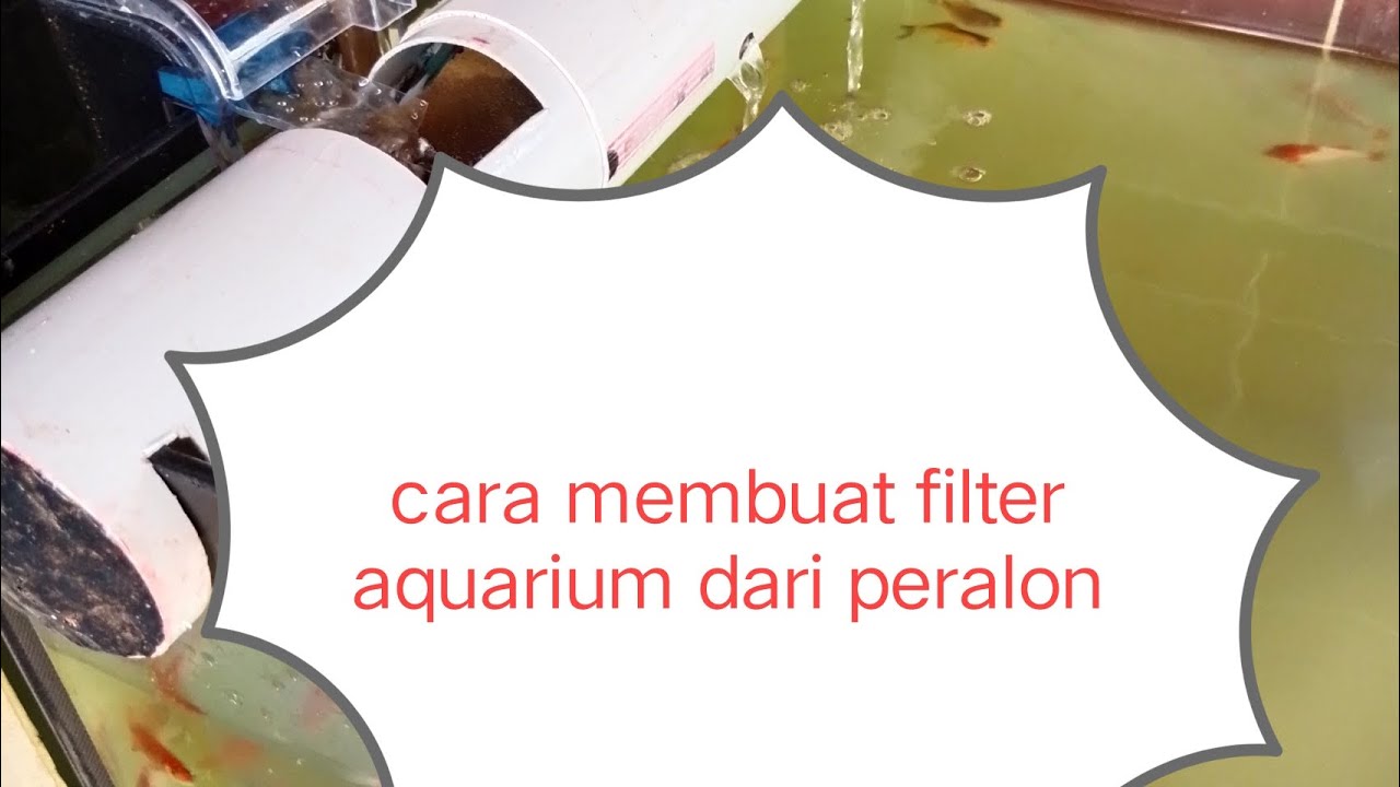 Cara membuat filter aquarium