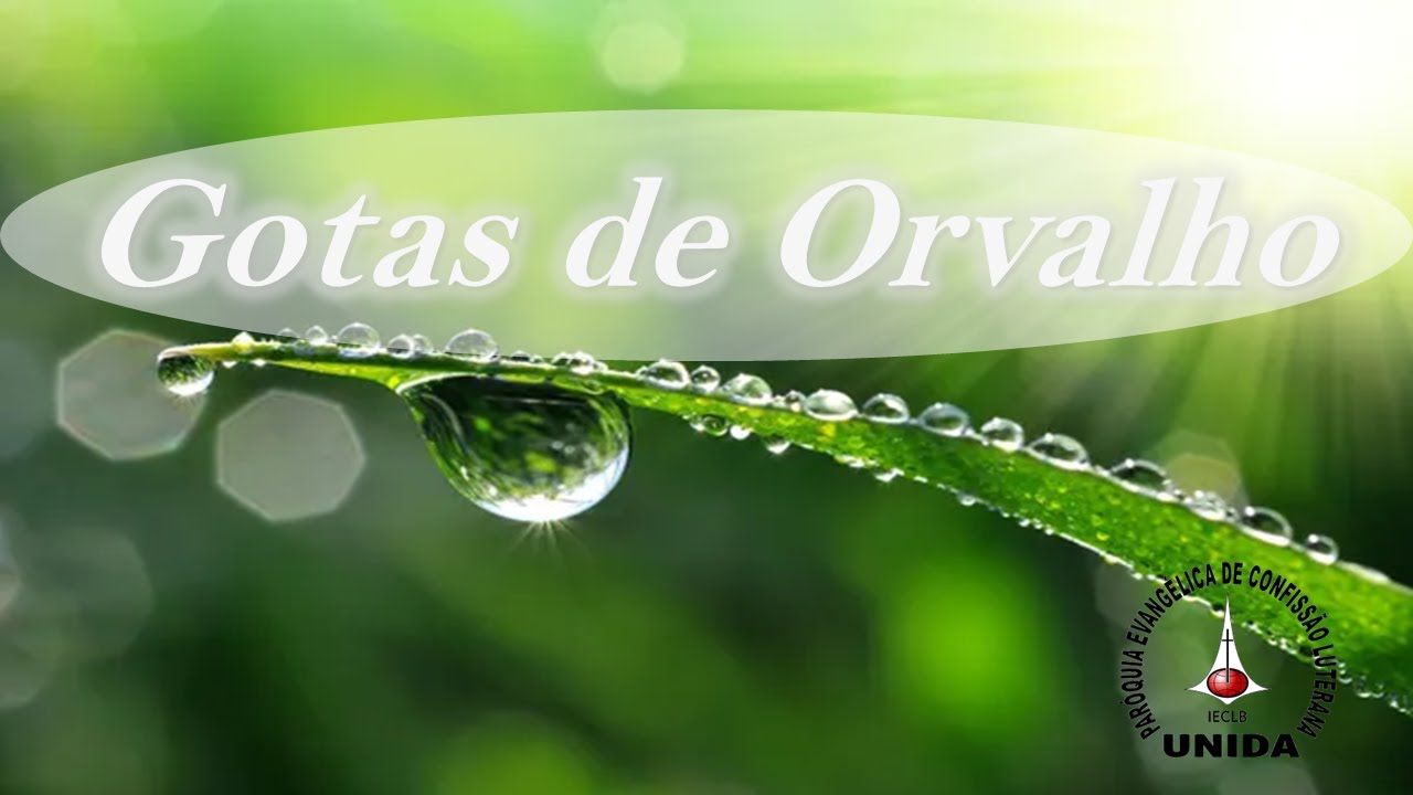 Gotas de Orvalho - 01 de Janeiro de 2026 - MEDITAÇÕES DIÁRIAS