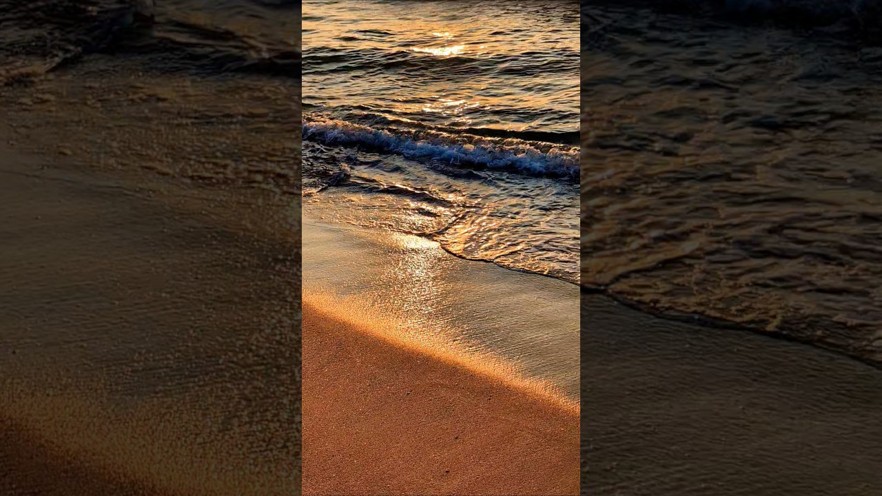 Relax your mind, Calm your thoughts  