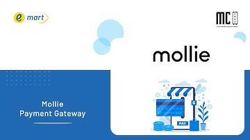 Mollie Payment Gateway API Key | emart - Laravel Multi-Vendor Ecommerce Advanced CMS