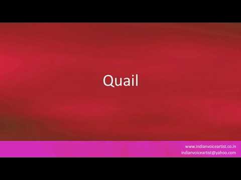 How to pronounce "Quail". - YouTube