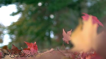 تلاوة مباركة من سورة فصلت للشيخ بدر الألمعي