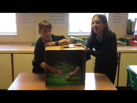Sialens beth sydd yn y bocs? - FloGwyr