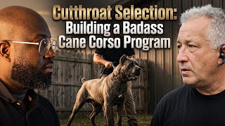 ​I Visited Scandifio Cane Corso | Behind The Scenes With The Living Legend Tony Scandy