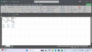Typing and Formatting of Cells in Excel 2024
