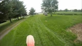 Raptor 660R And Honda 230F