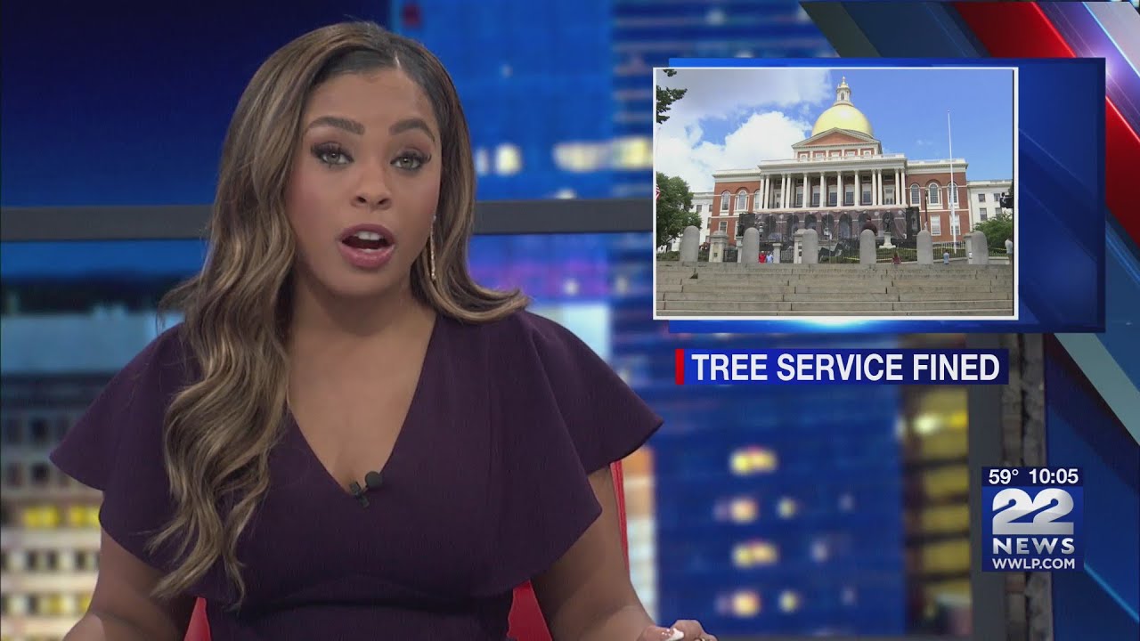 Tree service fined for spilling oil at Springfield residence