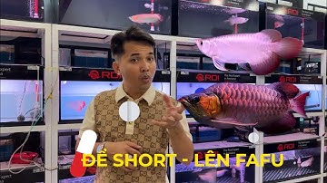 Chia sẻ về câu chuyện C.Á RỒNG được "can thiệp" để có body short, fafu