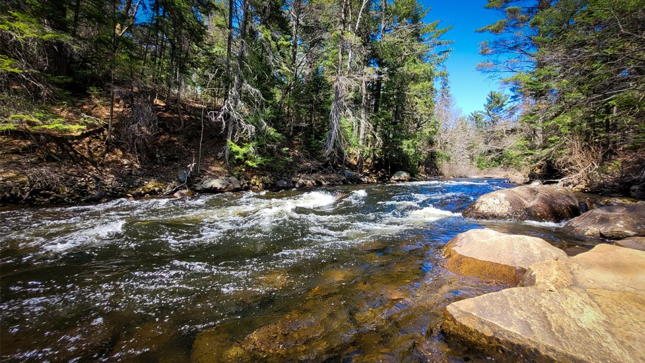 Whiskey Rapids - Algonquin Park Trails