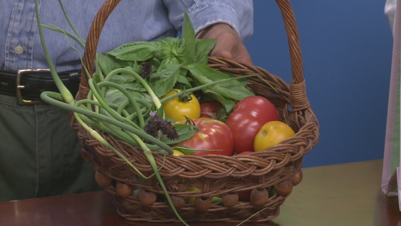 The Larkin Market YouTube