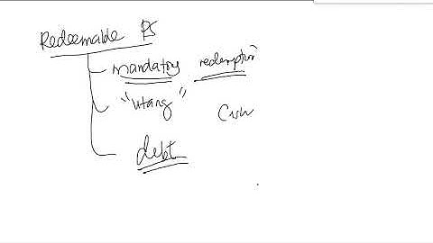 15  Redeemable Preference Shares