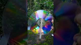 cd bubble experiment|HUNDRED TECH SHORTS|#shorts#youtub shorts#trending
