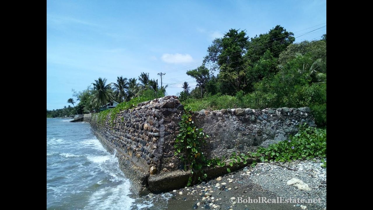 Ocean Front Lot Beachfront lot For Sale in Guindulman Bohol Philippines YouTube