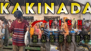 KAKINADA FISH HARBOUR 🤯😱🤯 | KAKINADA FISH MARKET 🐟🦐🐟 | KAKINADA PORT 😉😱😱