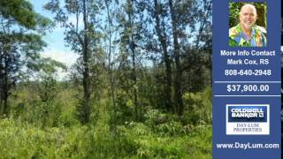 Land For Sale Puna HI Real Estate on 1.00 Acres-Acres $37900.00 Puna HI Mark Cox RS