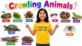Crawling & Creeping Animals Names in English & Hindi -Kids Bilingual Learning Insect & Reptile 8K