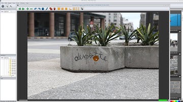 Culling in Photo Mechanic and Lightroom Tutorial