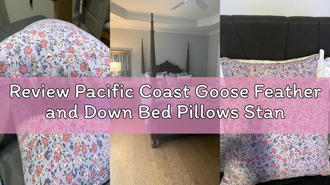 Review Pacific Coast Goose Feather and Down Bed Pillows Standard Size Set of 2, Hotel Pillow for Sle