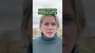 Should hens have garlic in their diet ? #shorts #chickenkeeping #chickens #homestead #chickencoop