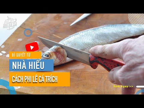 Video Phile Cá Trích Siêu Hay - Cá Trích Ép Trứng 1kg giá... - youtube