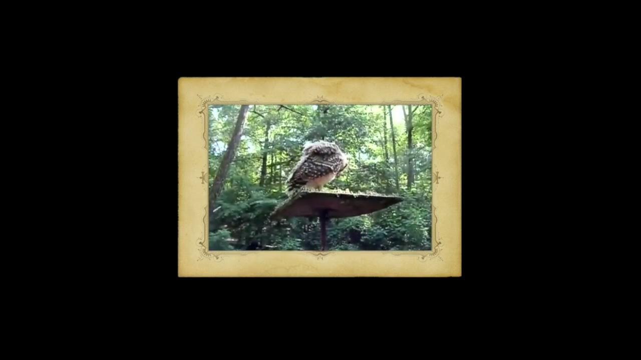 "My Brain the Filing (9.7.16)" YouTube