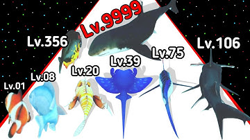 (2025) Fish Rush Evolution Level Up Fish All Level 3D Gameplay (New Update)