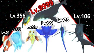 (2025) Fish Rush Evolution Level Up Fish All Level 3D Gameplay (New Update) screenshot 4