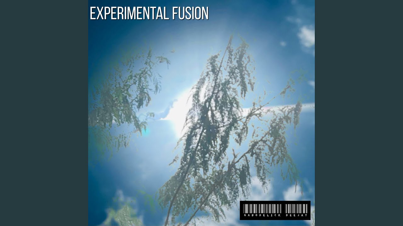Experimental Fusion