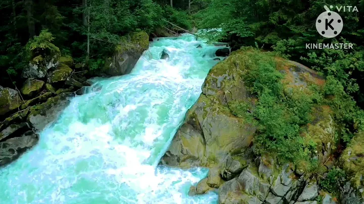 Noorani Chehra Hojaiga | Hazrat Imam Ali as Qol |Beautiful face #Mehrban Ali #shorts